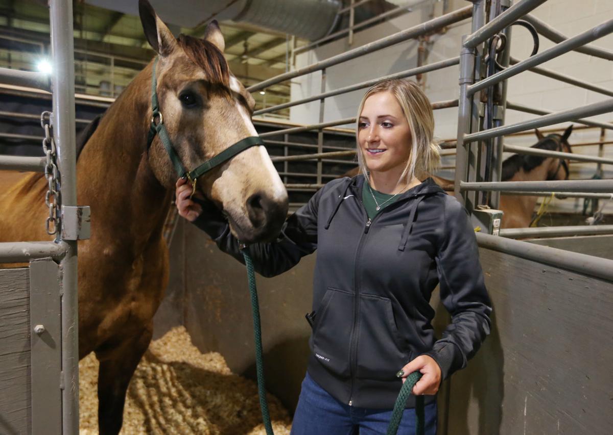 Horse Of A Different Color Bears Jelling Heading Into Ncea Championship Baylor Wacotrib Com