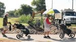 Waco-area news briefs: Cottonwood to host Clyde Hart Classic Aug. 27