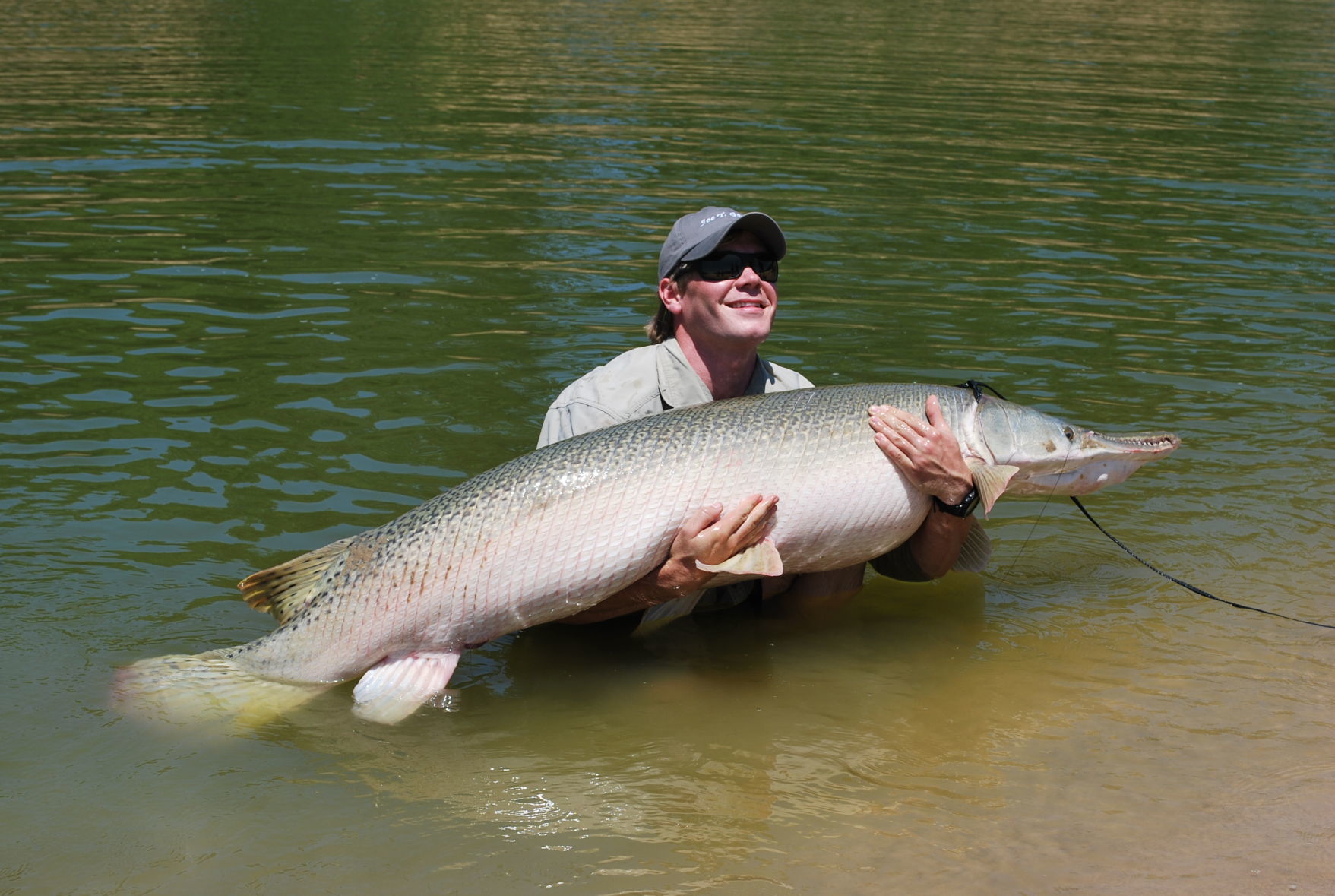 Outdoors In Defense Of The Misunderstood Alligator Gar Outdoors Outdoors In Defense Of The Misunderstood Alligator Gar Outdoors