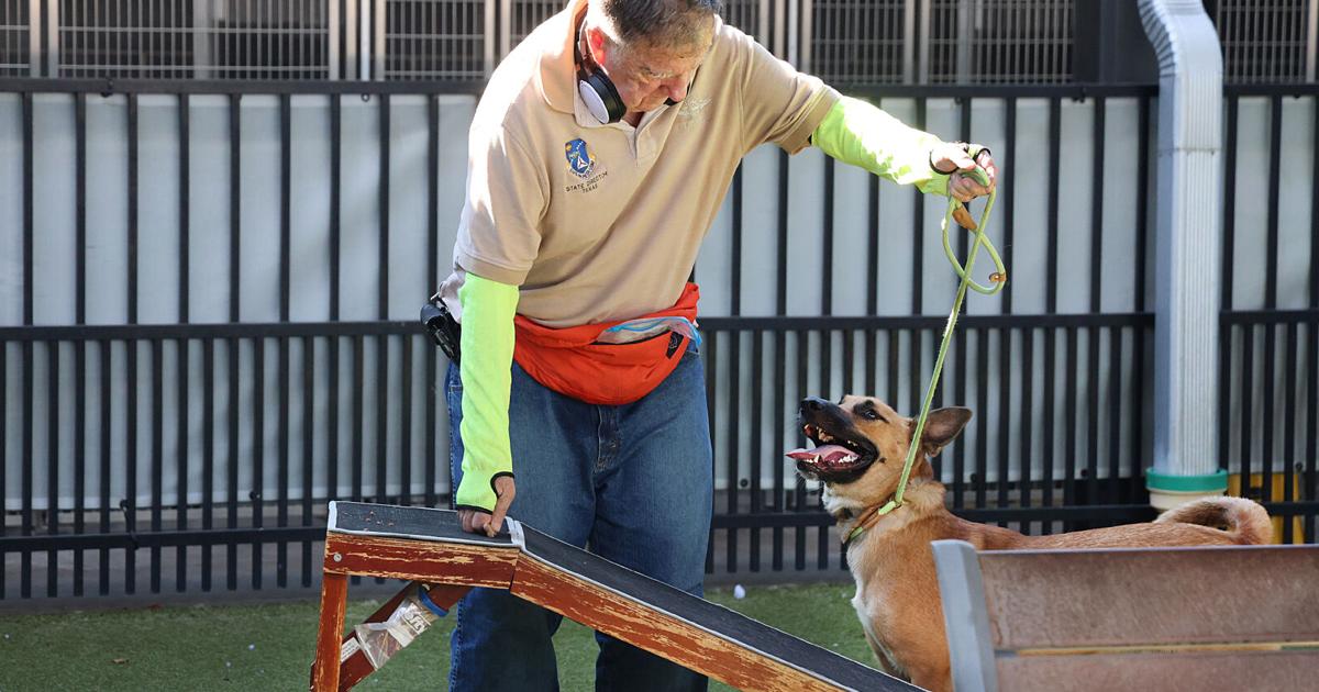 Waco animal shelter gets $600,000 donation of screwworm-prevention medication