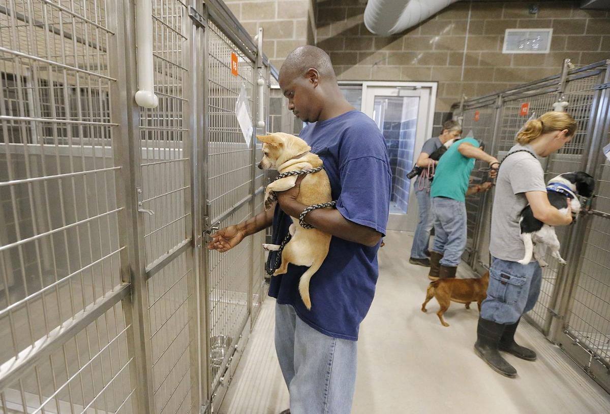 Dogs move into new digs at Waco Animal Shelter Government