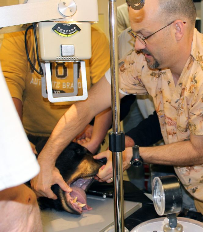 Local physicians provide medical care to Cameron Park Zoo