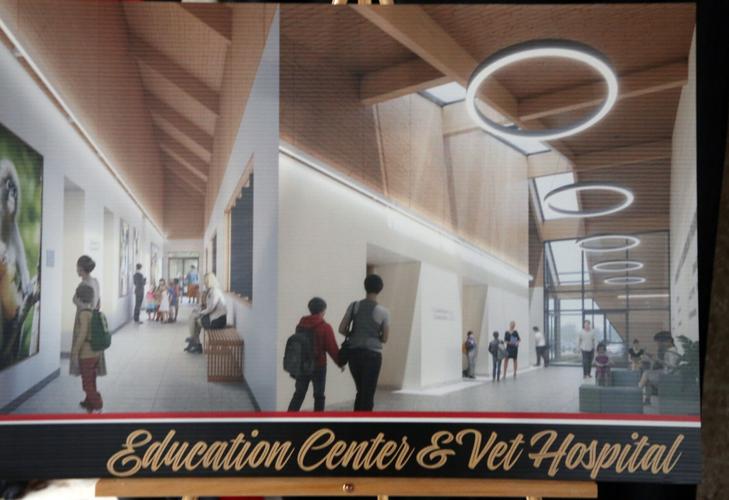 Cameron Park Zoo penguin exhibit, vet center get ceremonial kickoff