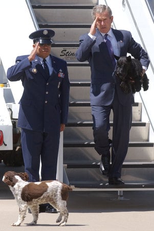 George W. Bush in Central Texas 2000-2009