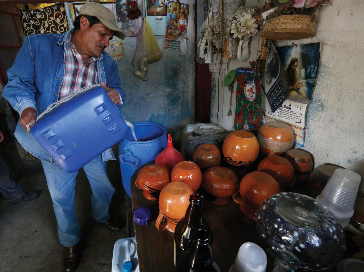 Mexico’s ancient beverage of pulque makes a comeback