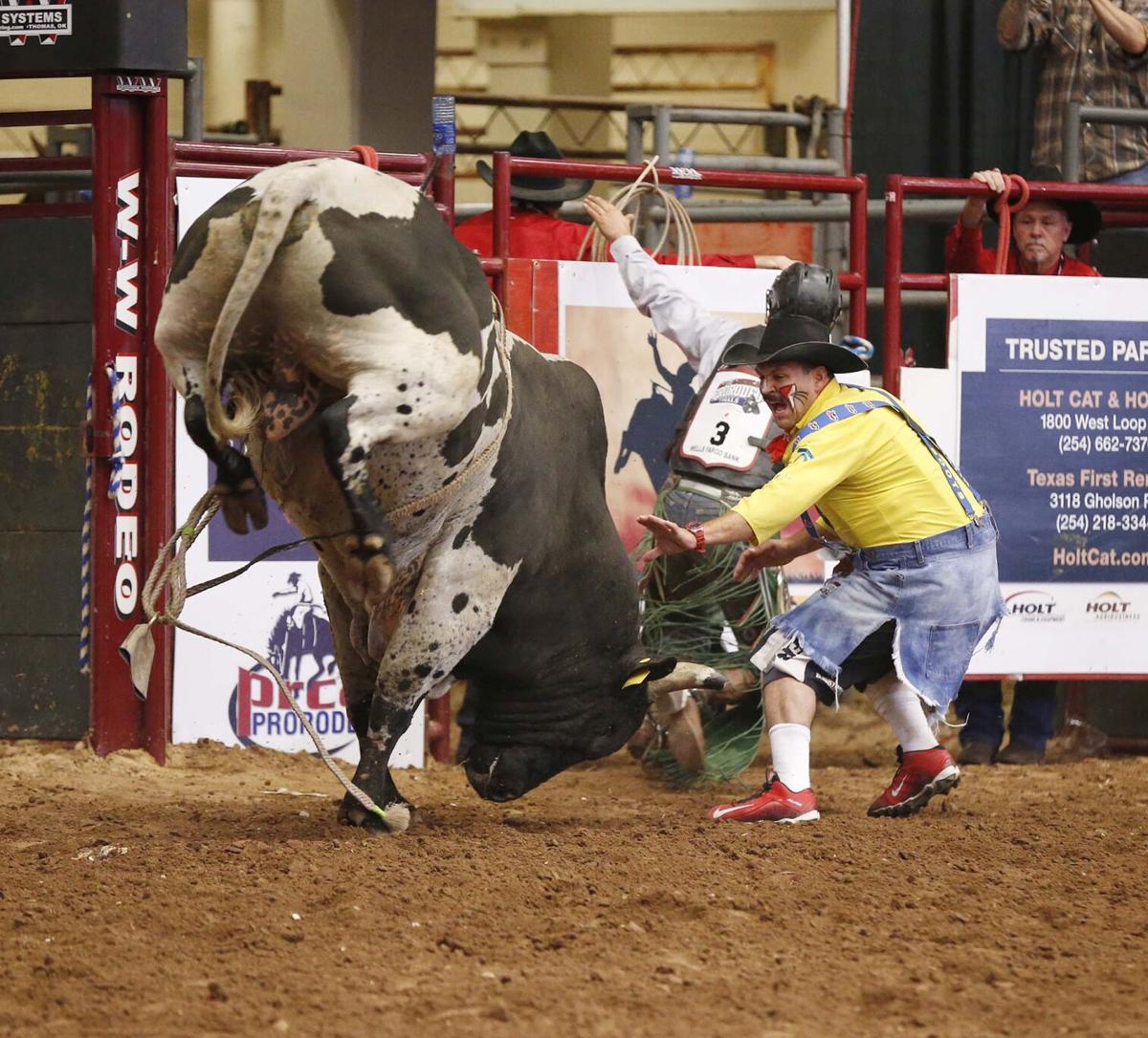 hot fair and rodeo returns oct 7 after livestock show gets head start friday local govt and politics wacotrib com