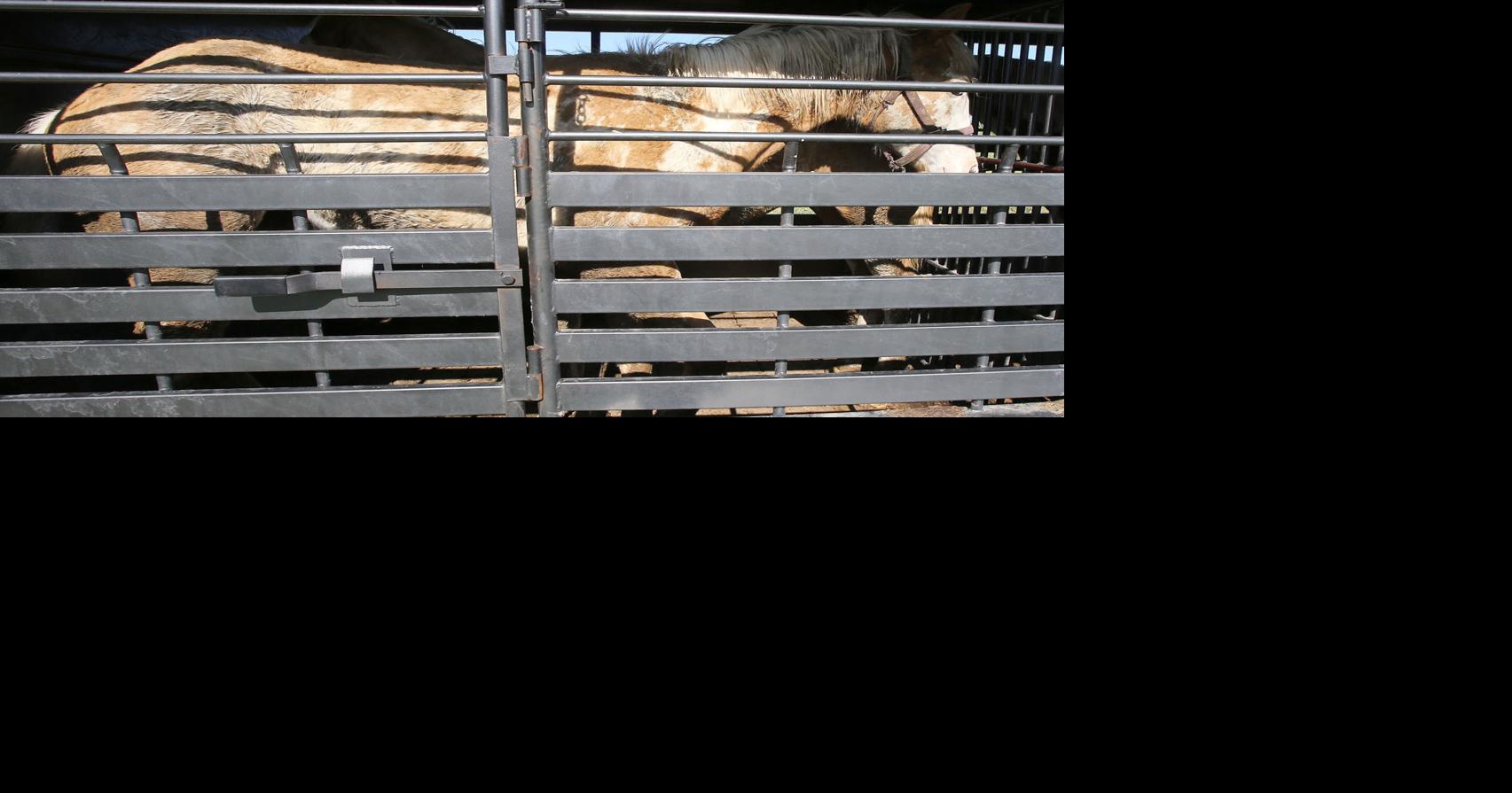 Deputies arrest 3 in livestock cruelty investigation