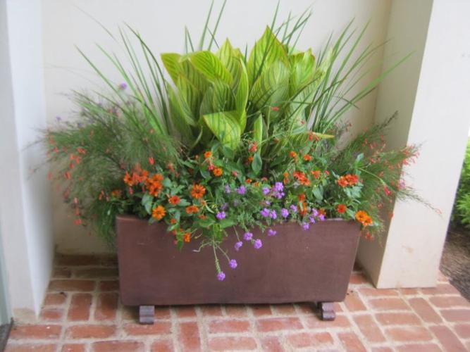 planters3