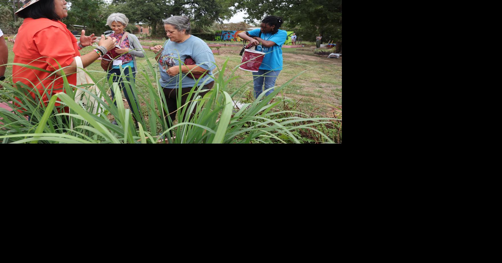 Curated visual reference: Green Communities Tour Shows Benefits Of Gardening Photo Inspiration