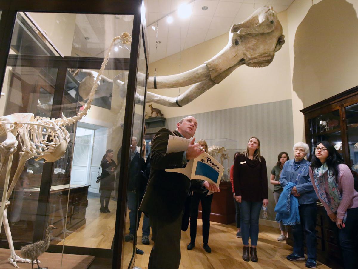 mayborn museum dinosaur
