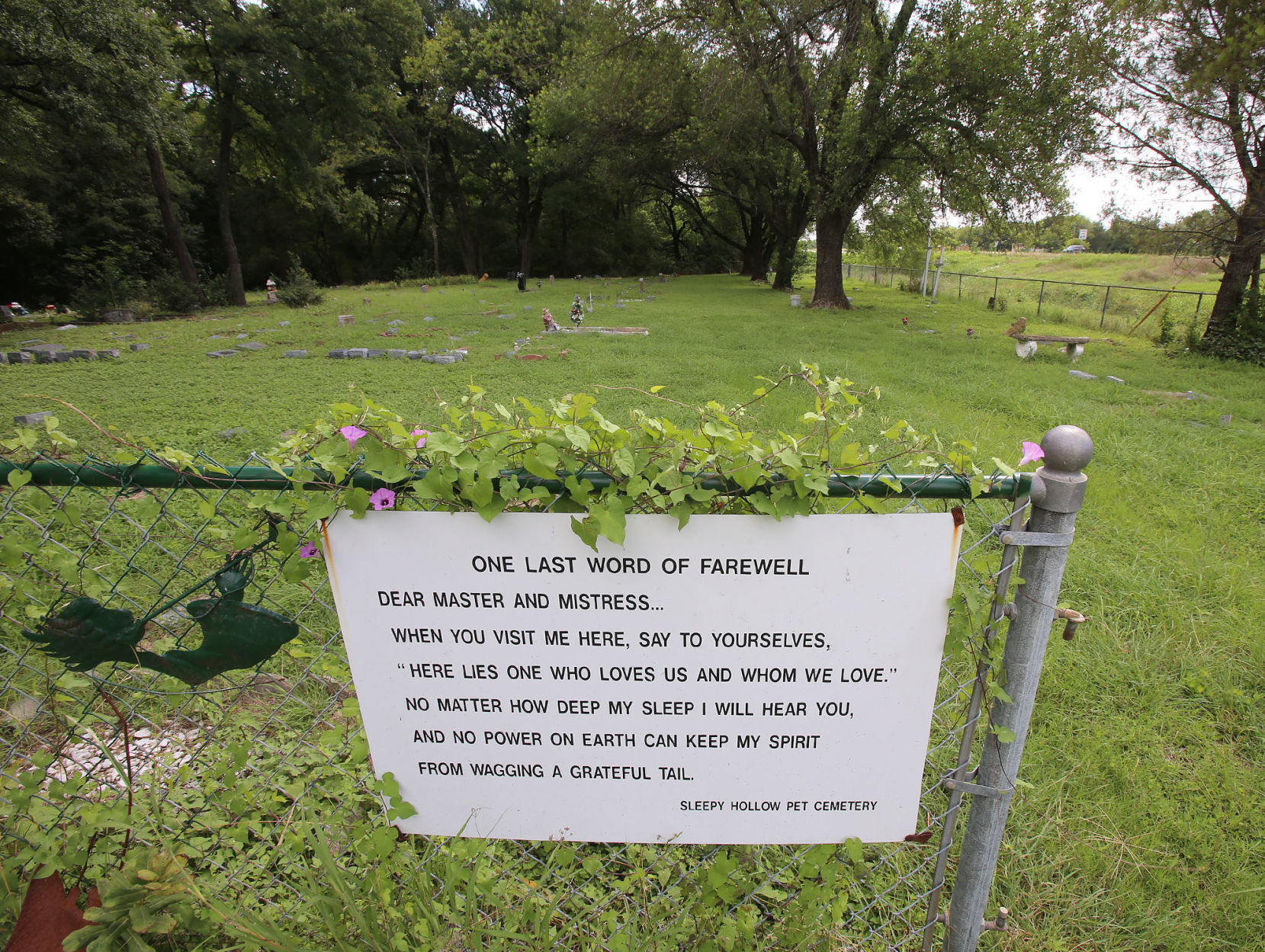 Sleepy Hollow Pet Cemetery offers place 