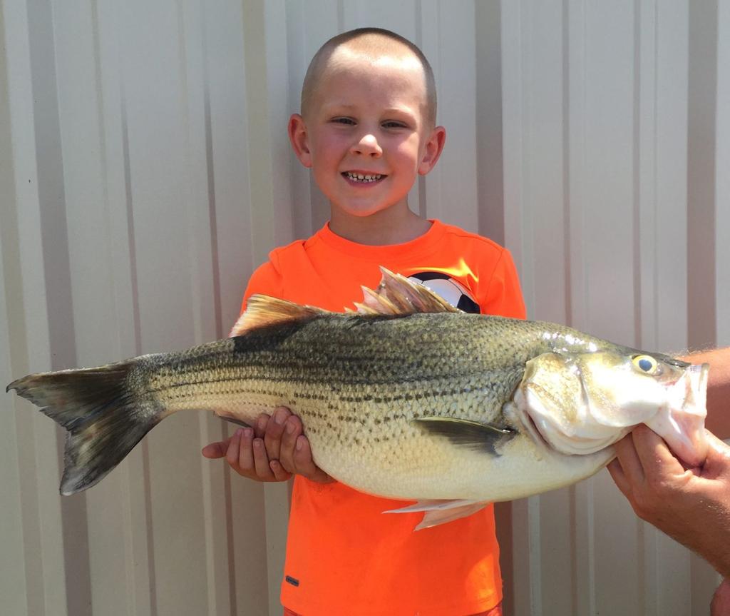 Outdoors Local Boy Catches Record Setting Hybrid In Lake Waco Sports News Wacotrib Com