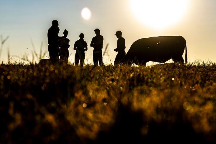 The transformative power of a Texas AandM education