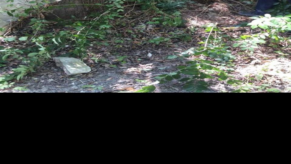 Man Hospitalized After Fall From Lovers Leap Latest Headlines Wacotrib Com