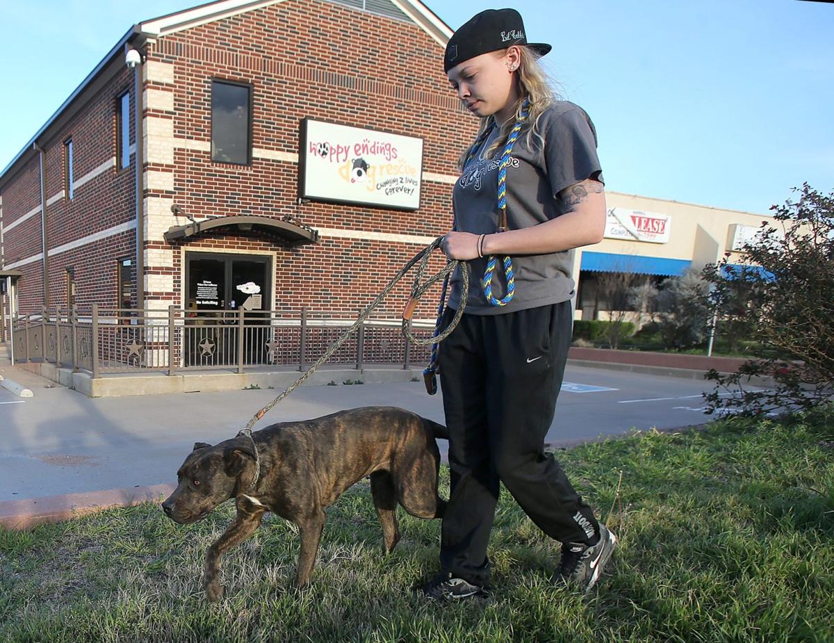 Hewitt Animal Shelter To Close After Donors Face Financial Trouble Local News Wacotrib Com