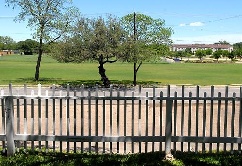 This Is Waco: Historic Homes