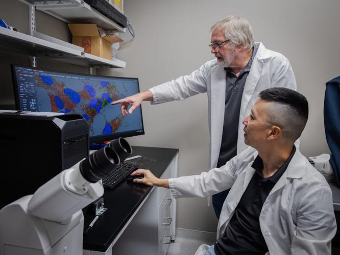 Tiny molecules, big possibilities: Researchers explore a new way to slow lung cancer