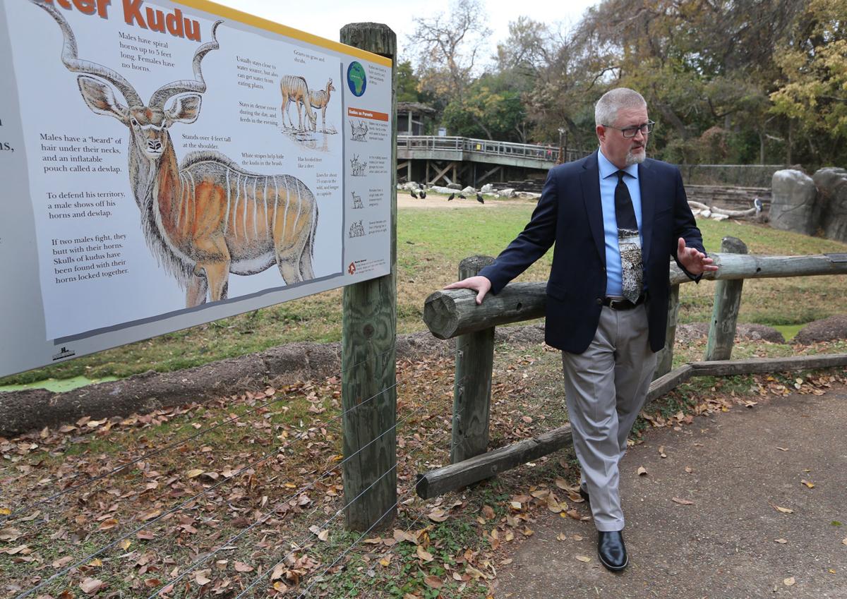 New Cameron Park Zoo director excited for bondfunded expansion