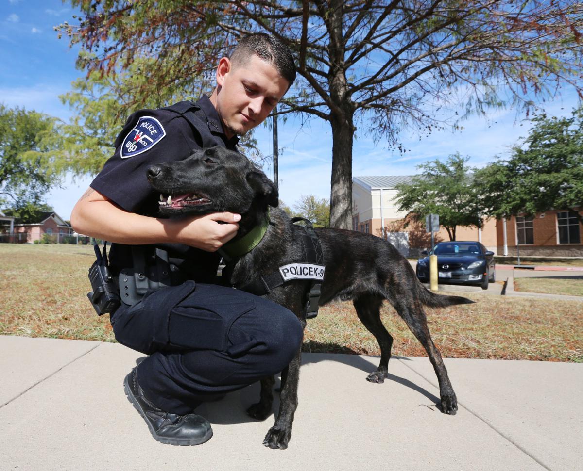 Waco ISD introduces new police dog