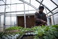 Paul Quinn greenhouse