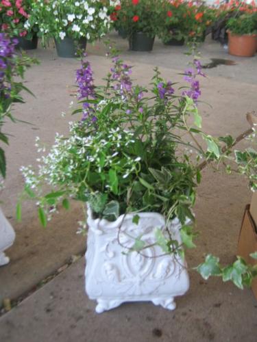 planters4