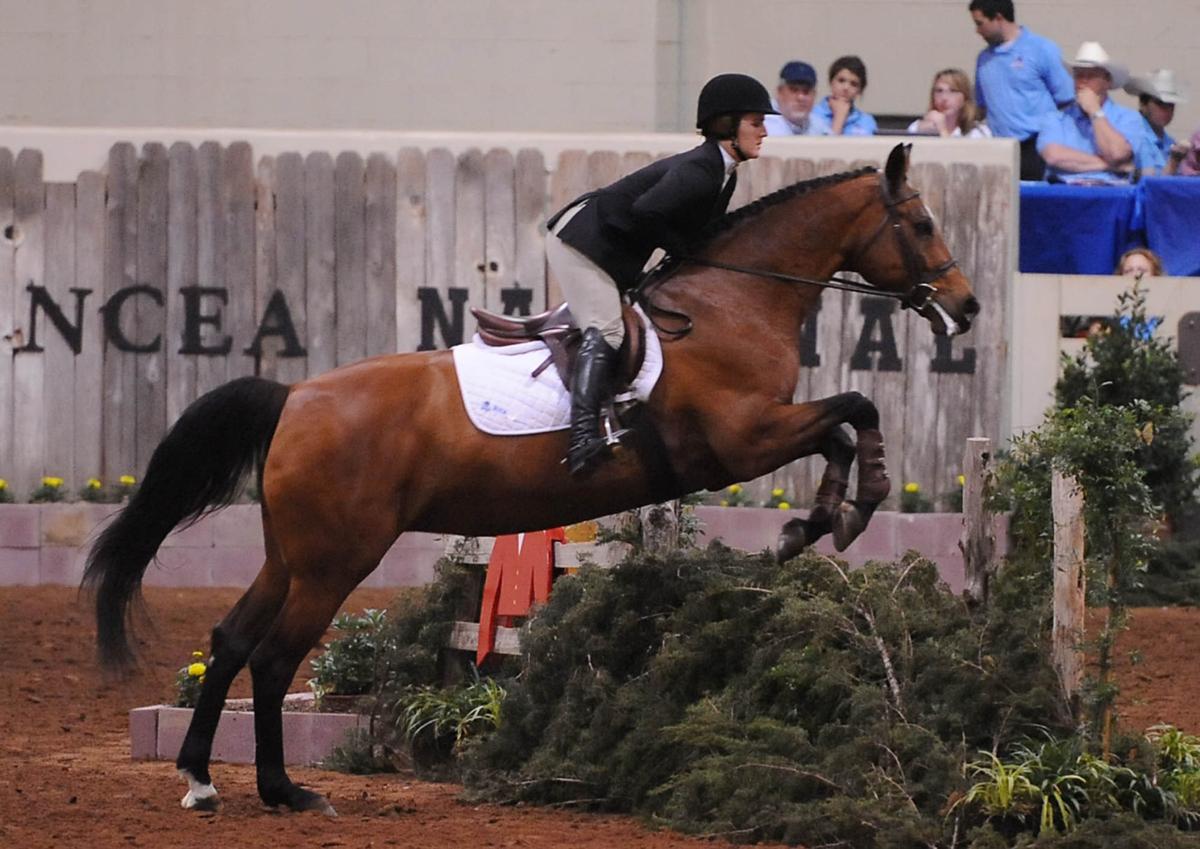Baylor Equestrian All Decade Nobody Dominated Like Schaefer Baylor Wacotrib Com