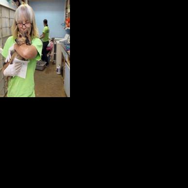 City of Waco taking over animal shelter after failed talks