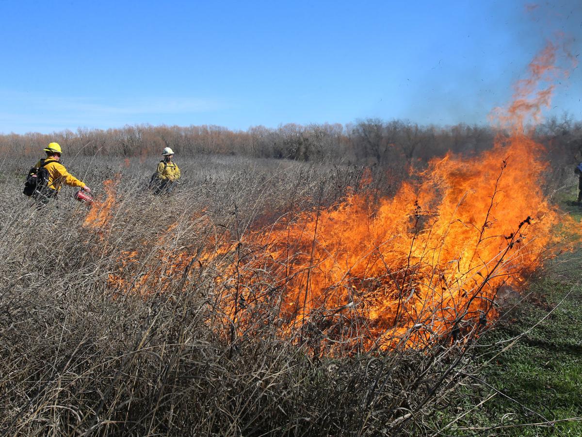 A fiery Rx Firefighters use prescribed burn to rebalance Lake Waco