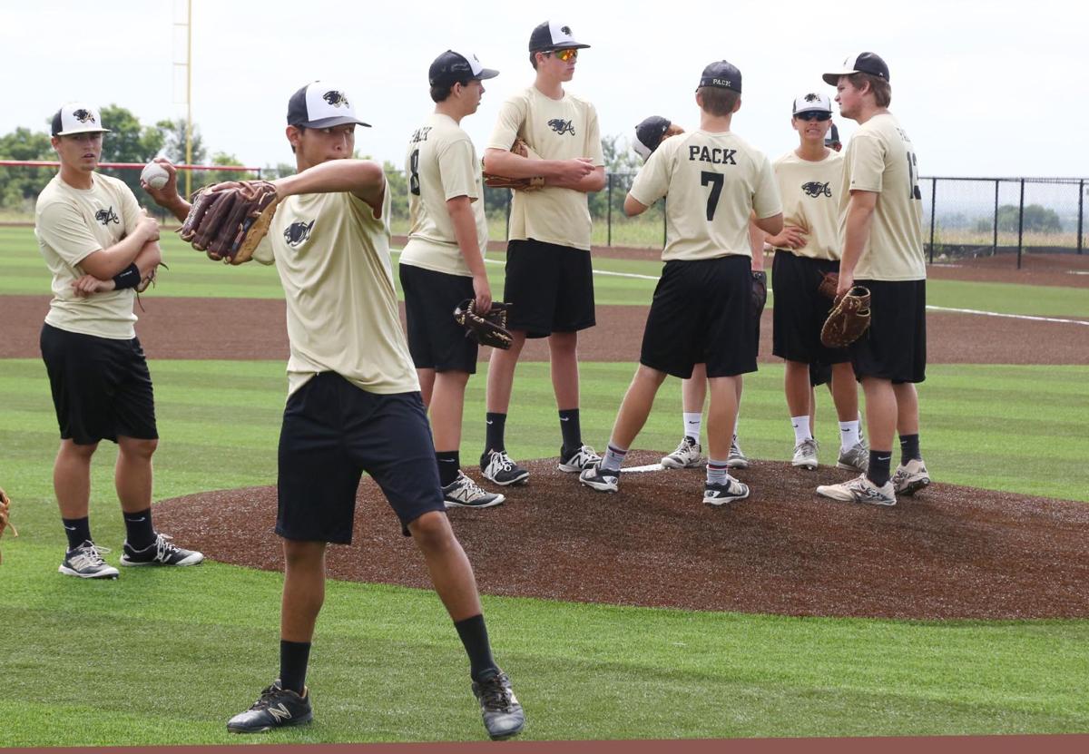 Baseball fever in Abbott Panthers on brink of first state title