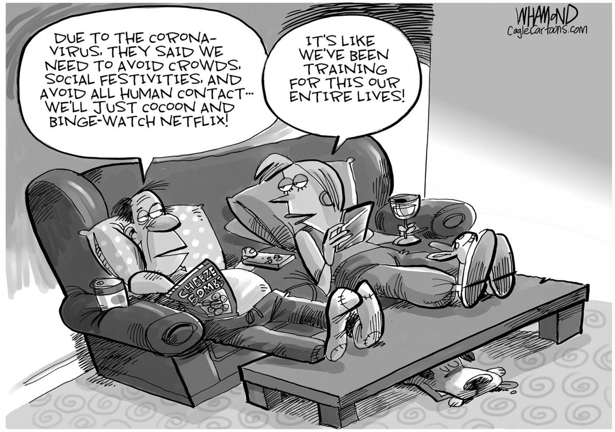 Tuesday cartoon