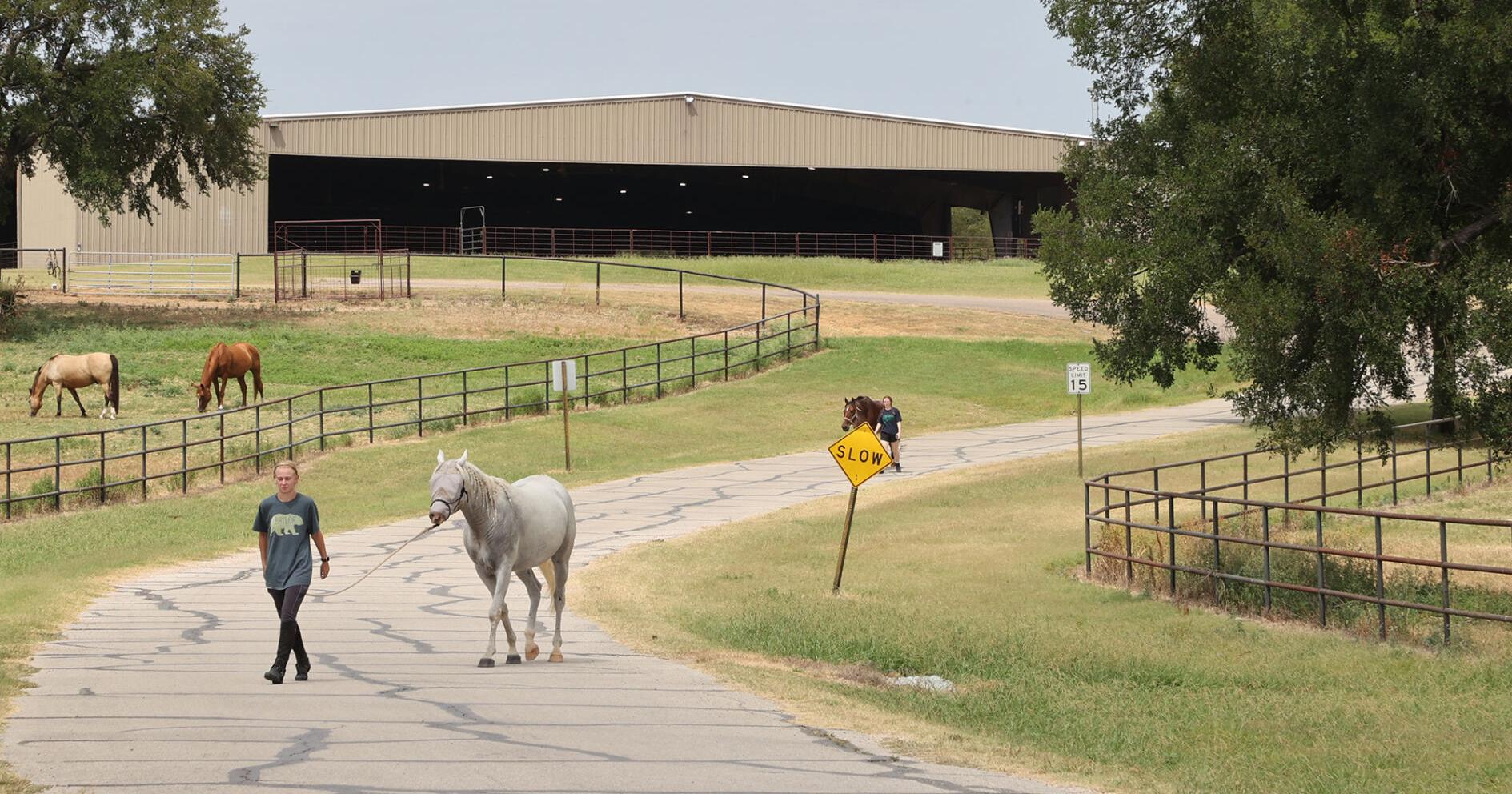 MCC looks ahead to Highlander Ranch's future after saving it from closure - Vimarsana News