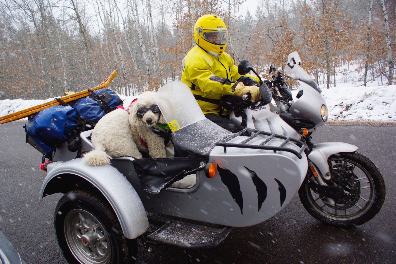 3 wheel motorcycle with sidecar