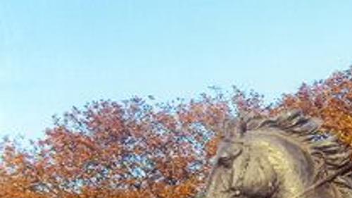 Portals To The Past Cattle Drive Statues A Grand Display Waco Today Wacotrib Com