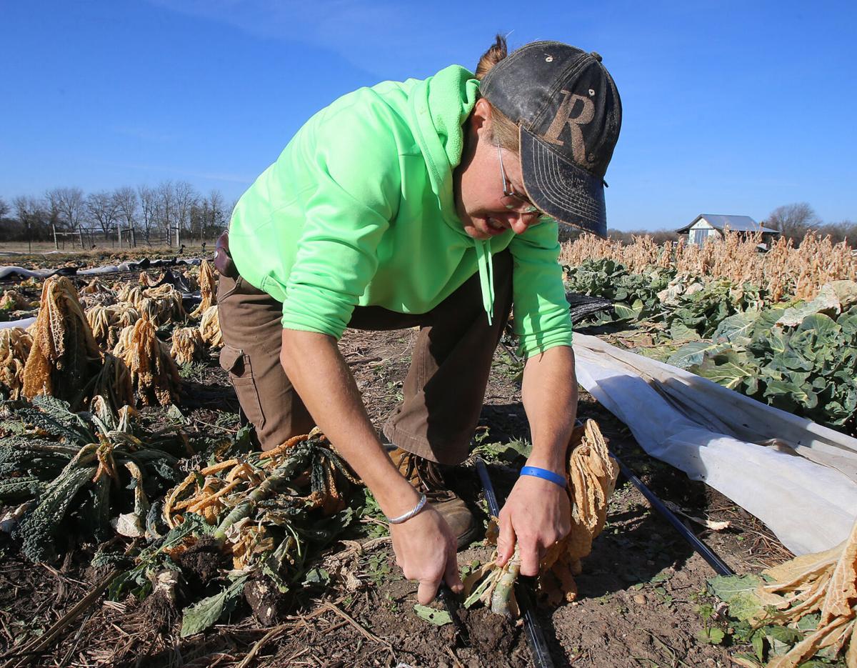 3hwxw8chkridym Team crew alternative to exodus. https wacotrib com business local some waco area produce growers weather the storm others not so fortunate article 3c357786 75f1 11eb a184 3761b6129429 html