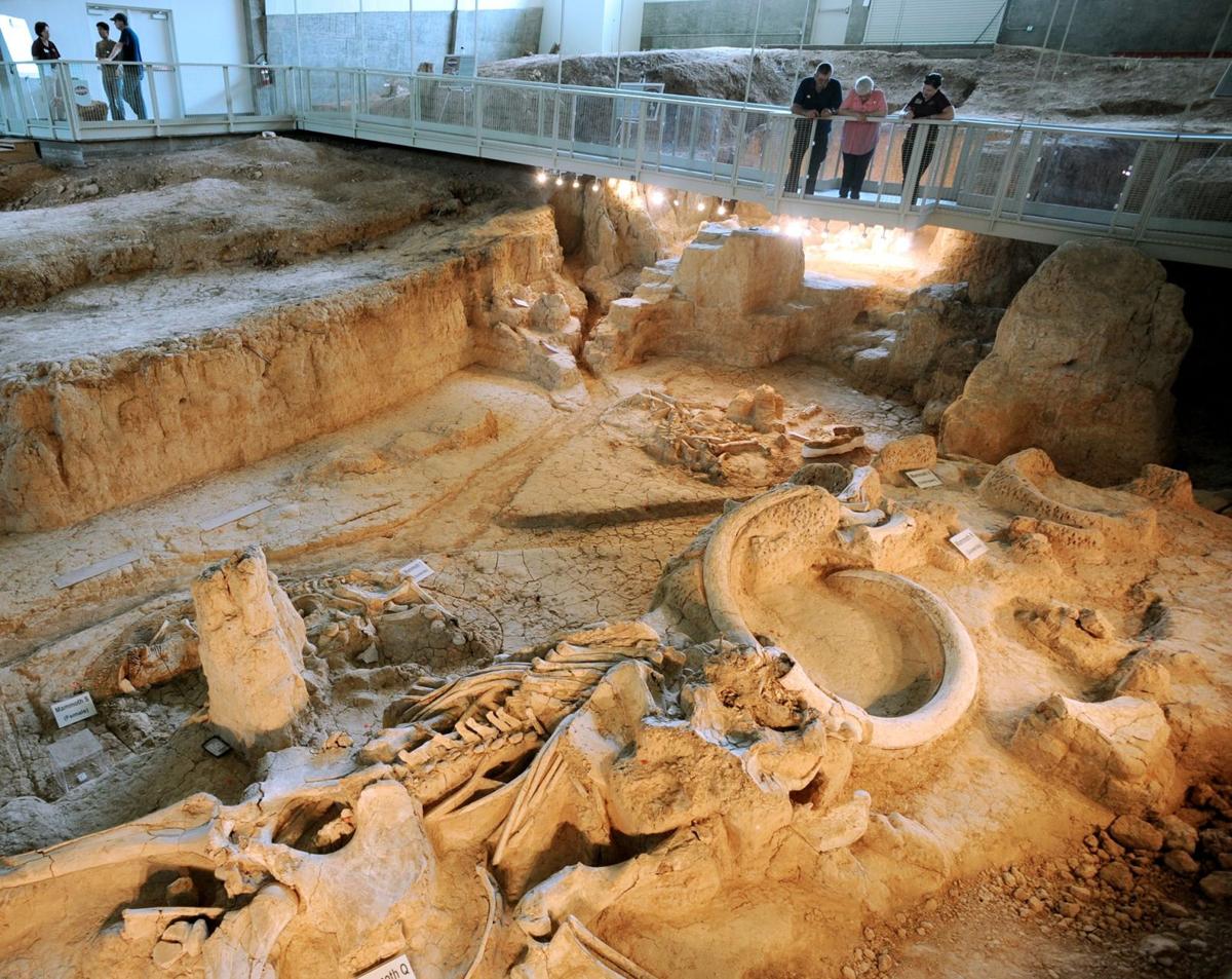 President Obama to officially declare Waco Mammoth Site as national
