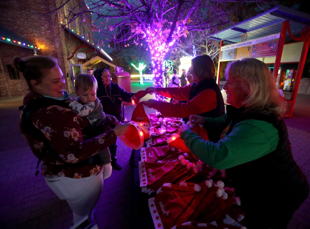 Wild Lights display dazzles afterhours at Cameron Park Zoo