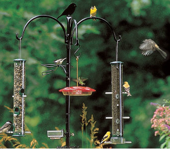 5 Ways To Attract And Protect The Birds You Want In Your Yard