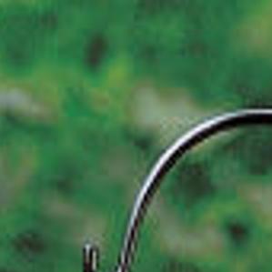 5 Ways To Attract And Protect The Birds You Want In Your Yard