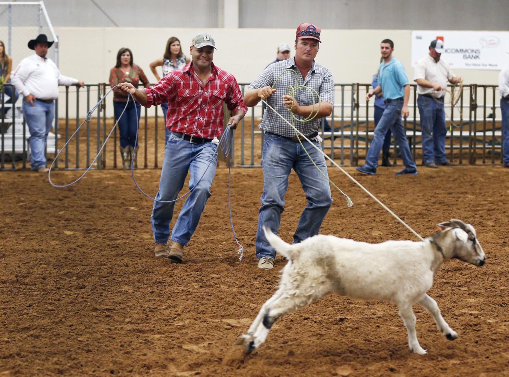 cowboy ropes for sale