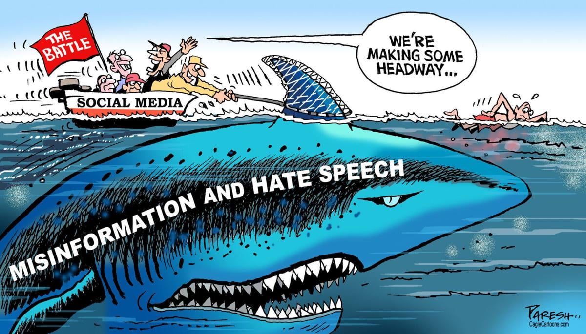 Sunday misinformation cartoon