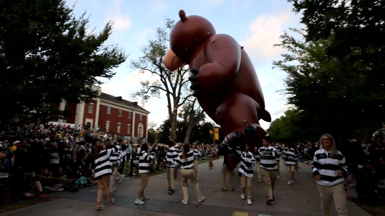 A Giant parade  vip in the city