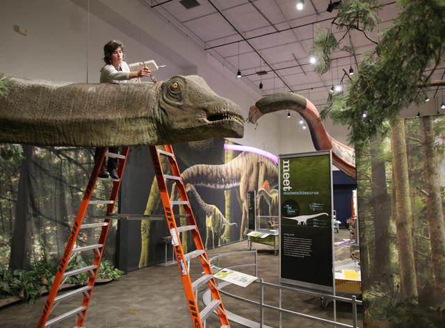 be the dinosaur exhibit