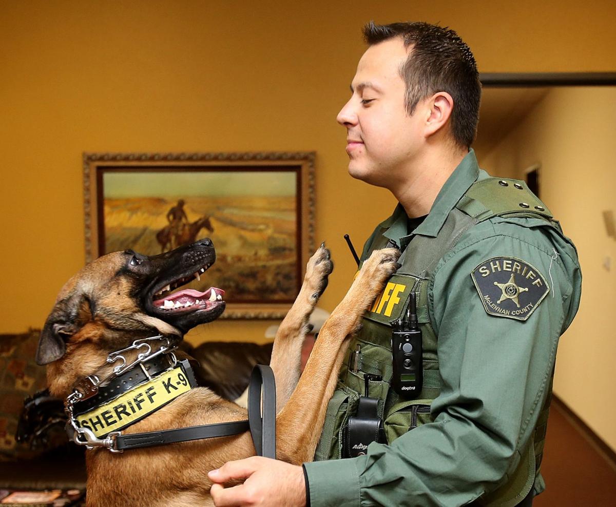 Sheriff’s office K9 handler reprimanded over dog training techniques