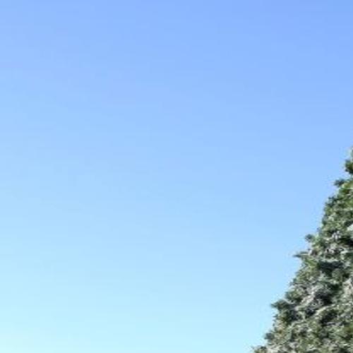 Waco Readies Christmas Tree For Wonderland Events Access Waco