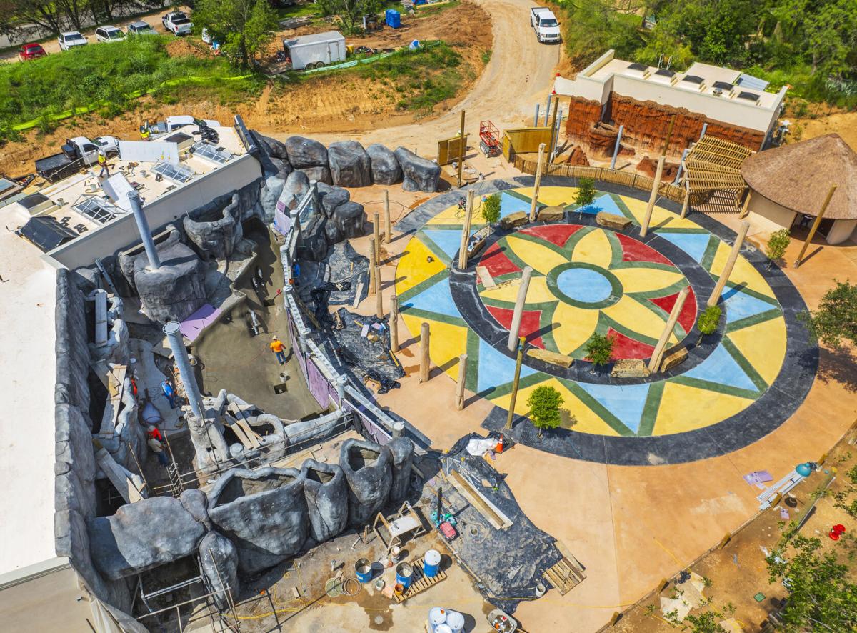 Cameron Park Zoo penguins could welcome visitors in August