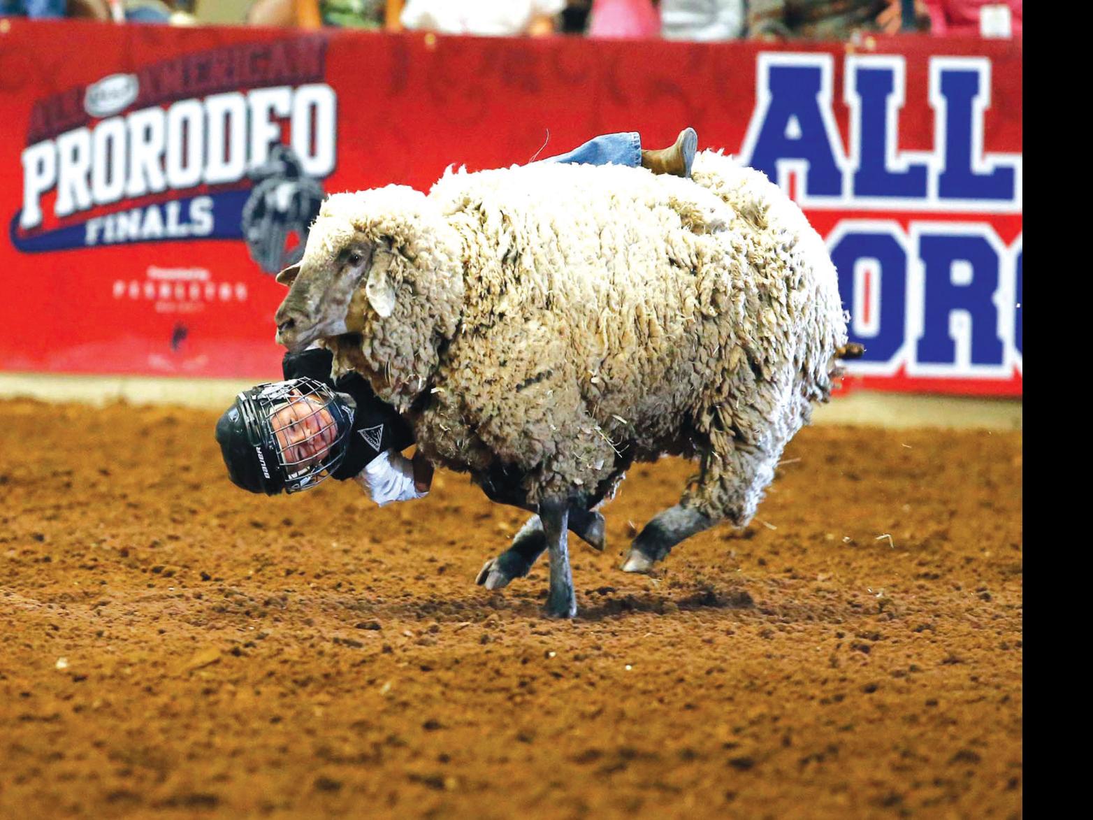 11 Heart O Texas Fair Rodeo Waco Today Wacotrib Com