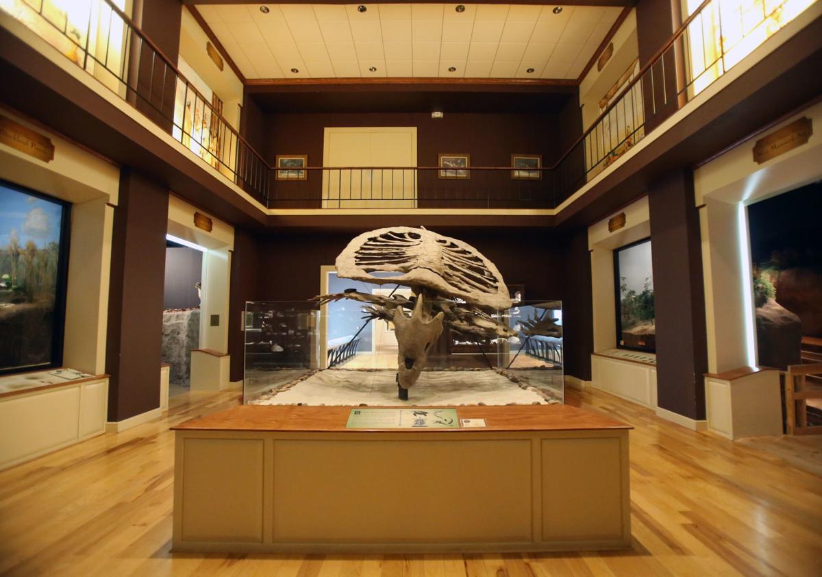 mayborn museum dinosaur