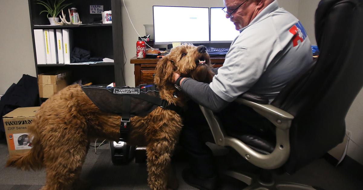 Therapy dog joins AMR ranks