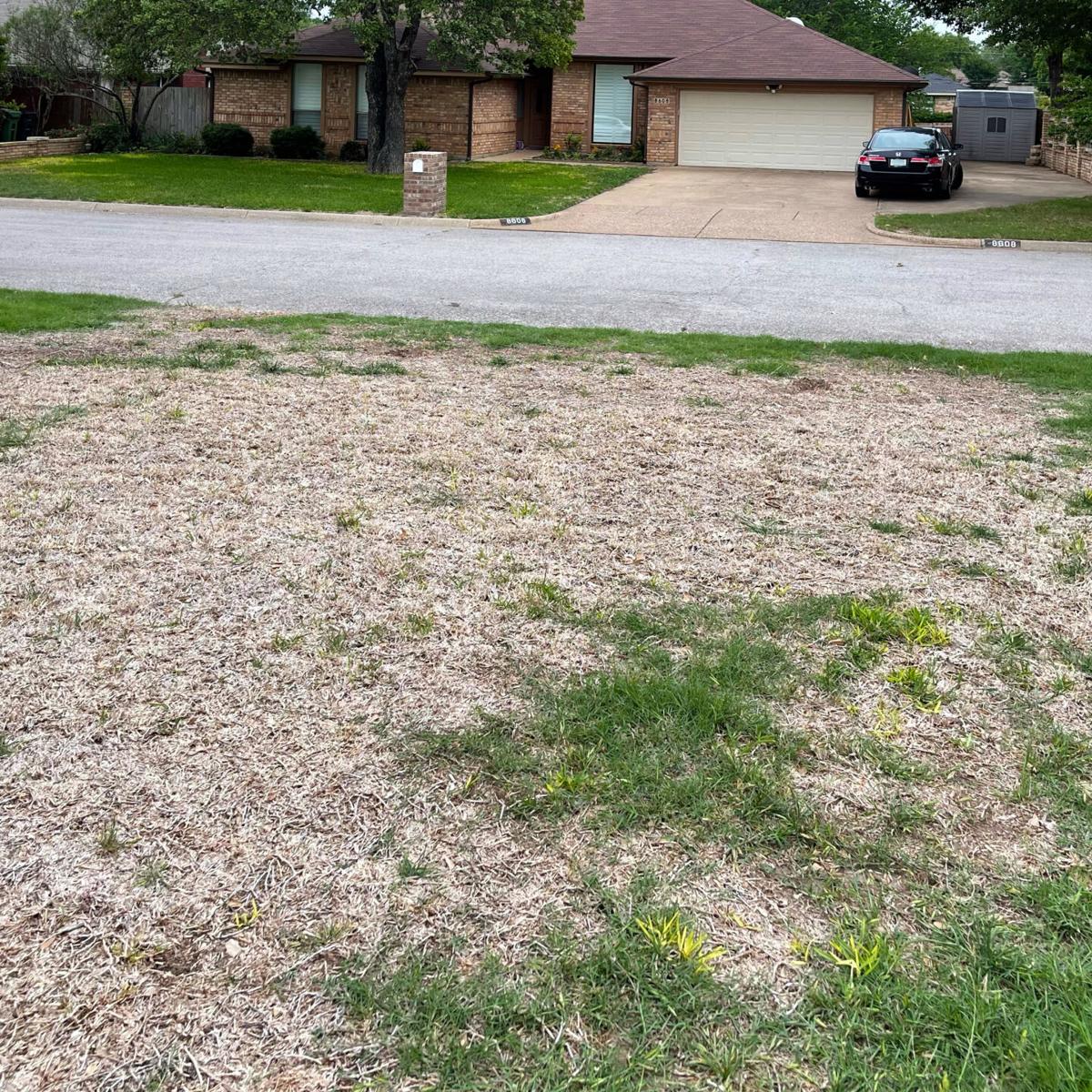 neil-sperry-use-a-spray-want-to-control-dichondra-weed-in-lawn