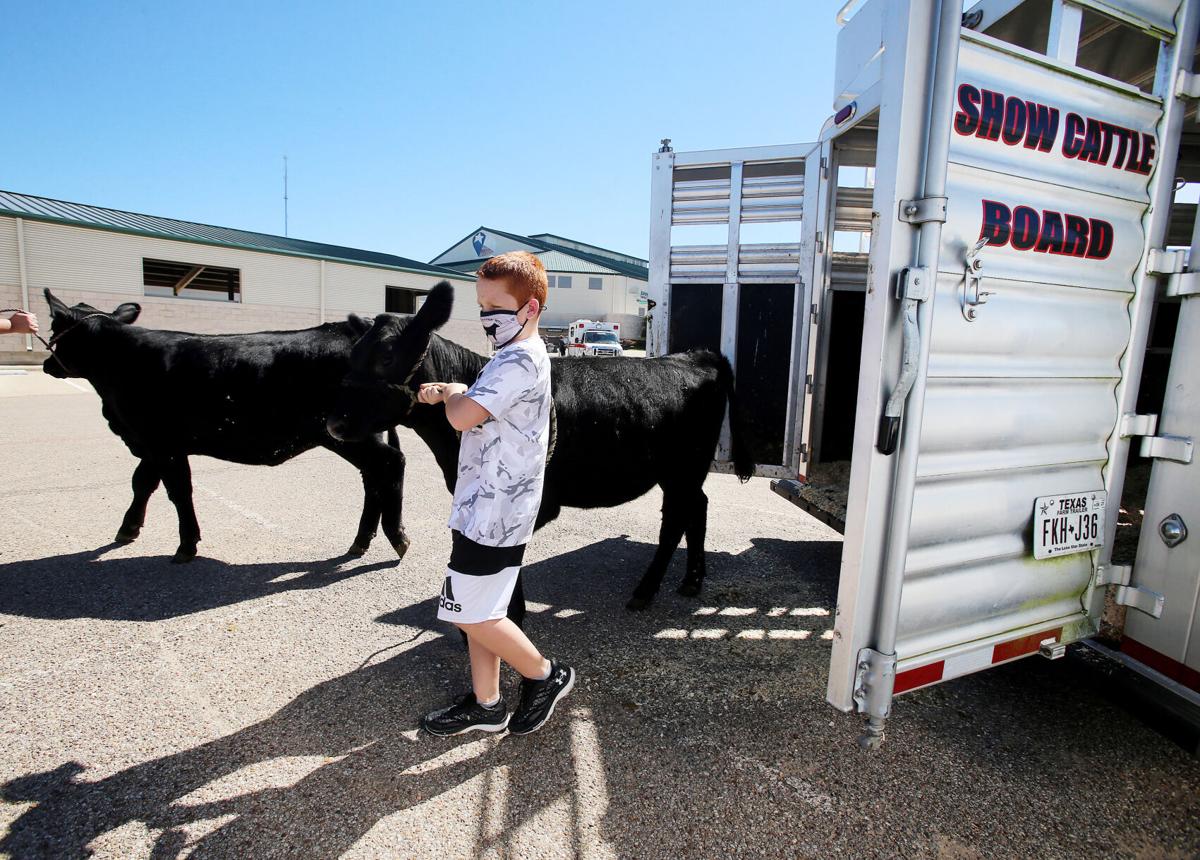 State Fair Of Texas Joins Hot Fair For Bigger Youth Livestock Show In Waco Local News Wacotrib Com